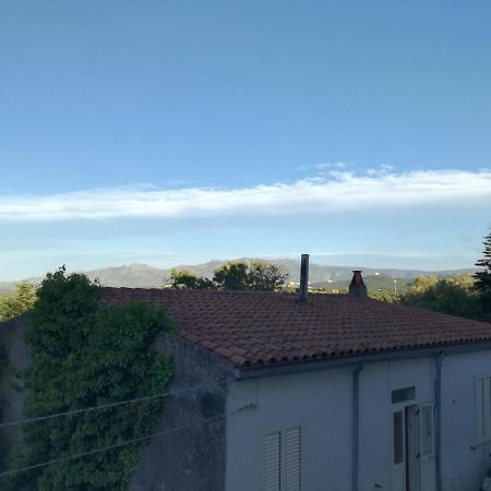 Monti di bò Apartamento Aggius Exterior foto