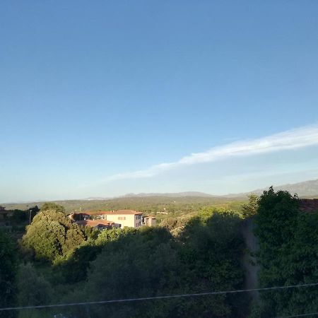 Monti di bò Apartamento Aggius Exterior foto